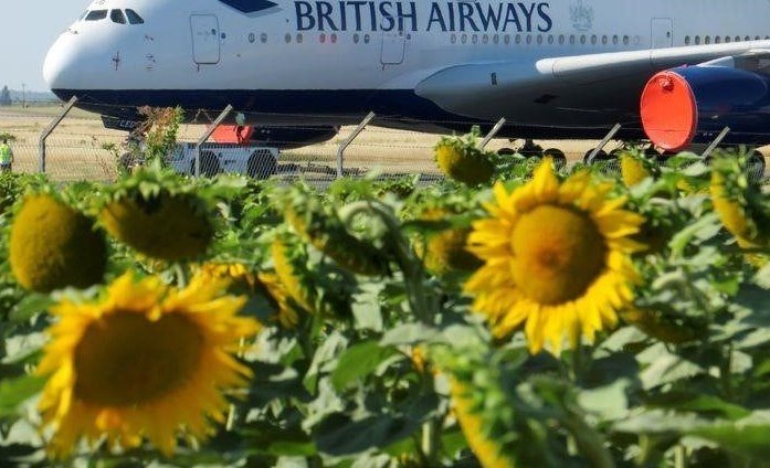 British Airways собирается отменить решение о сокращении рейсов в Гатвик - Телеграф