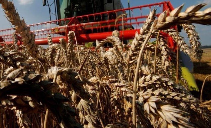 Цены на пшеницу растут на фоне проблем с поставками