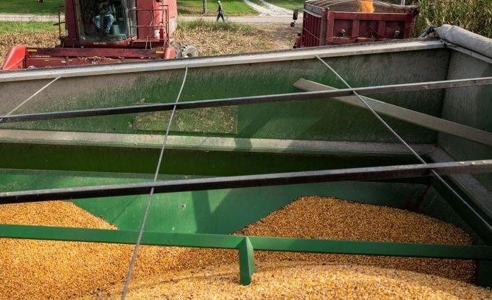 Фьючерсы на кукурузу падают до четырехнедельного минимума на фоне больших запасов зерна