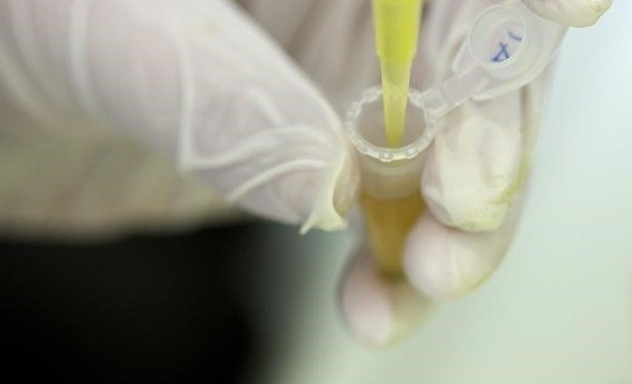 Испанская вакцина компании Hipra переходит во вторую фазу испытаний на людях