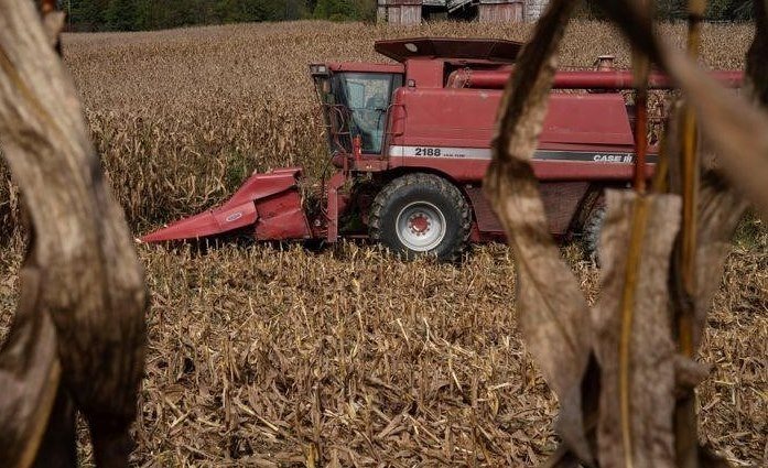 Производство сои в США будет ниже, чем ожидалось: USDA