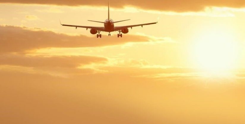 Руководители авиакомпаний обращаются к правительствам с просьбой ослабить ограничения