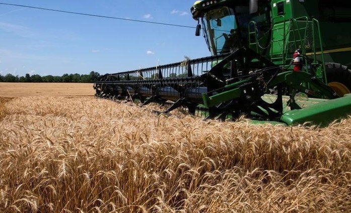 Пшеница упала до одномесячного минимума после отчета USDA, в котором ожидается увеличение мирового урожая