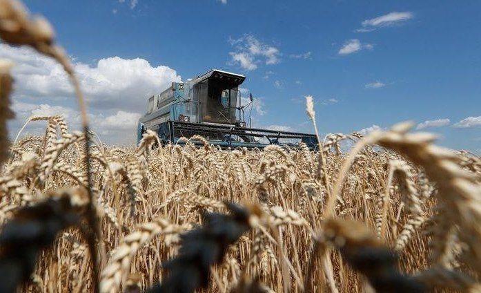 Strategie Grains понижает прогноз экспорта зерна из ЕС на 2021/22 год