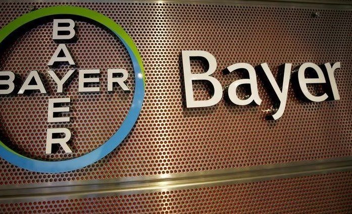 Bayer выводит на рынок низкорослый сорт кукурузы, устойчивый к экстремальным погодным условиям