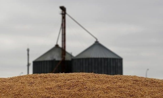 Экспорт мягкой пшеницы из ЕС на 2021/22 маркетинговый год снизился до 19,09 млн. тонн по состоянию на 13 марта