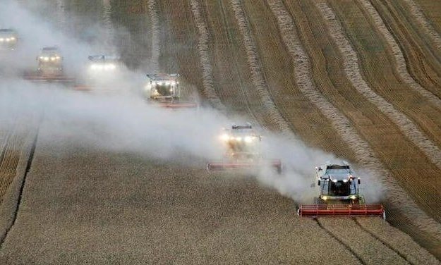 Пшеница растет на фоне ограничений российского экспорта и засухи в США